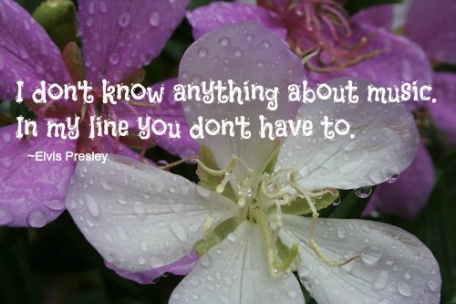 elvis presley quotes elvis presley quotes