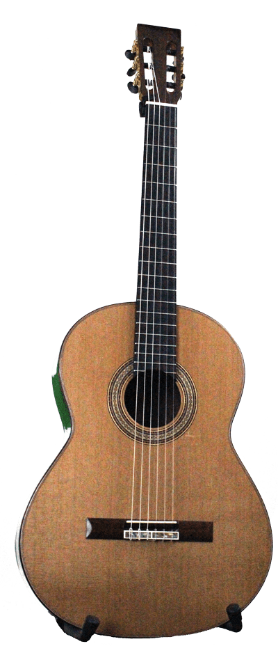 Photo 4-Chinese-mystery-guitar-trans
