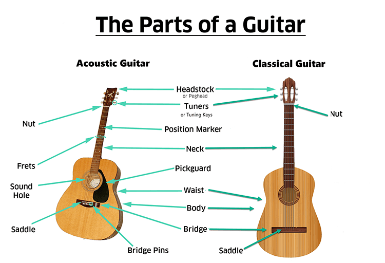 parts of a guitar chart