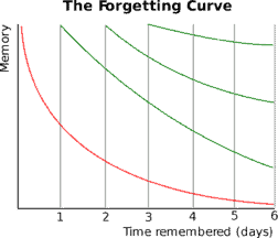 The-Forgetting-Curve