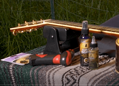 Guitar Polish (1)